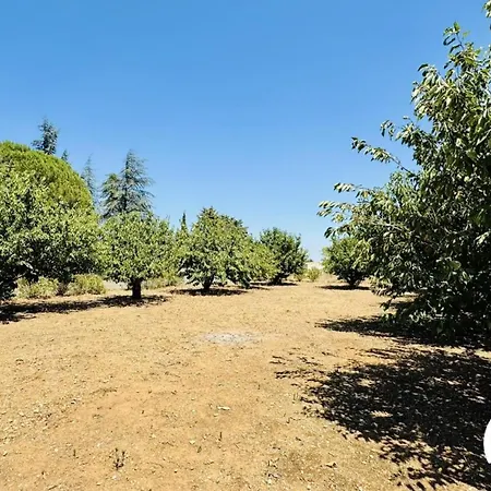 Сasa de vacaciones La Ceriseraie